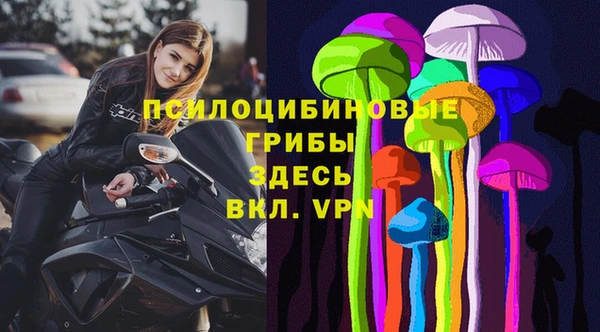хмурый Медногорск