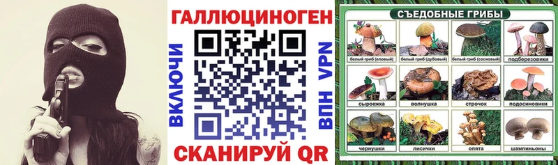 хочу   Белгород  Псилоцибиновые грибы GOLDEN TEACHER 