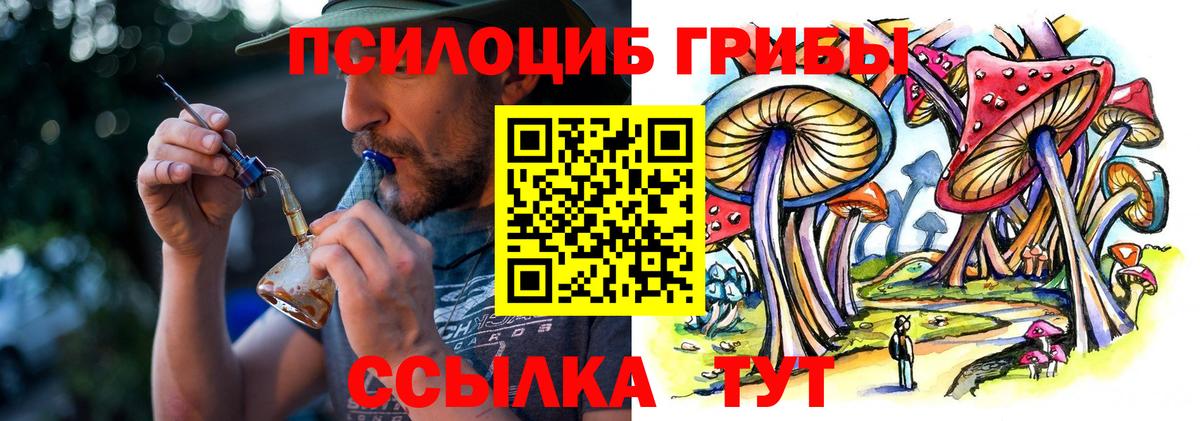 Белгород  Псилоцибиновые грибы Magic Shrooms  Вход с VPN 