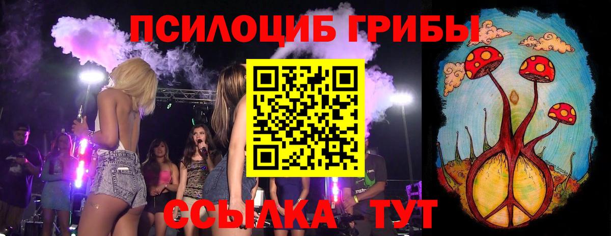 Псилоцибиновые грибы мицелий Белгород