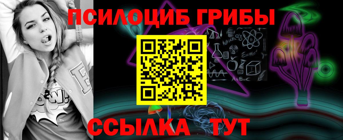 Псилоцибиновые грибы мицелий  Белгород 